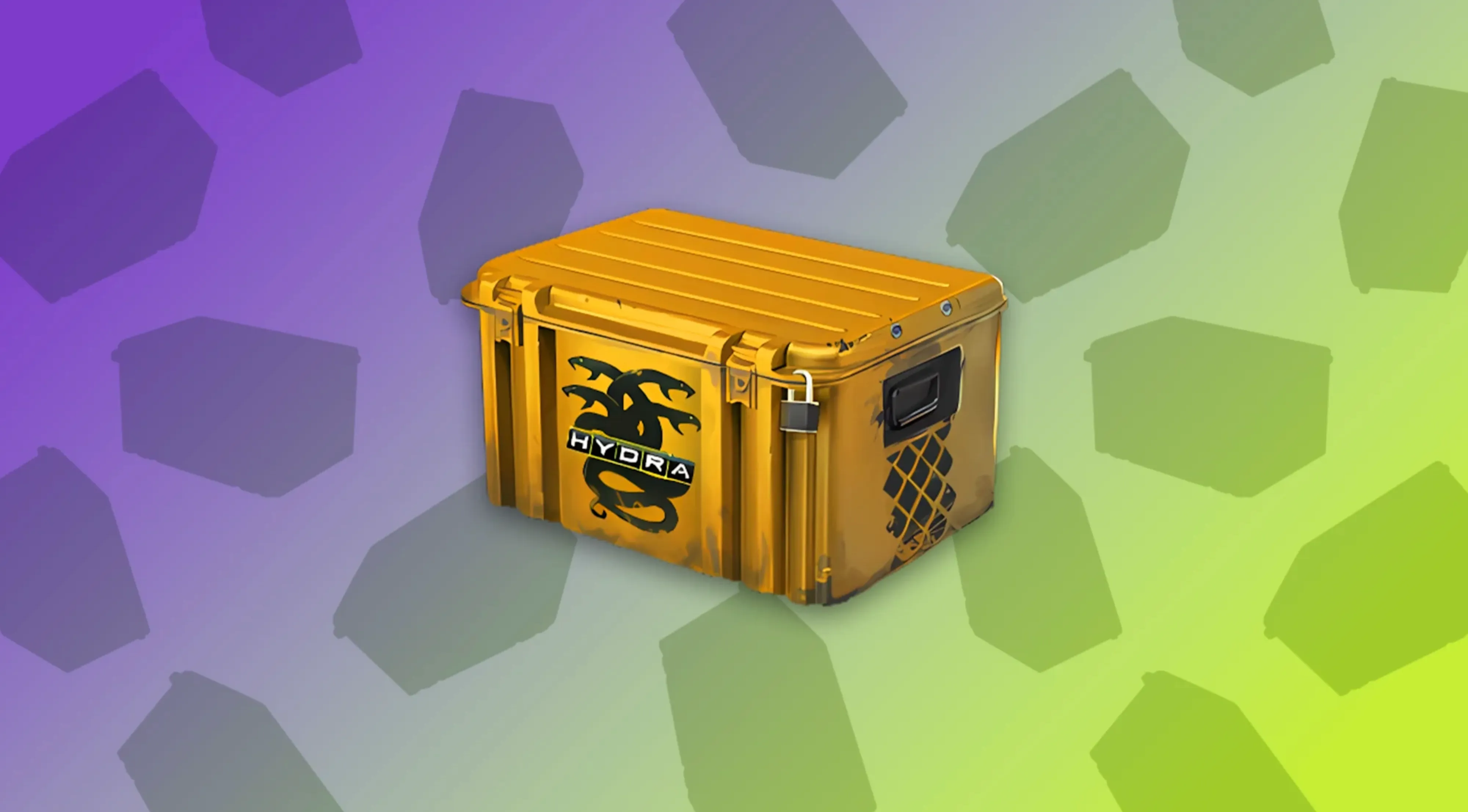 Operation Hydra Case